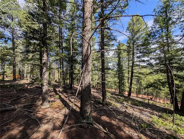 $30,000 | 60 Flourite Lane, Divide, CO 80814