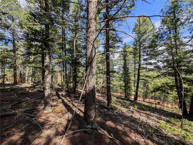 $30,000 | 60 Flourite Lane, Divide, CO 80814
