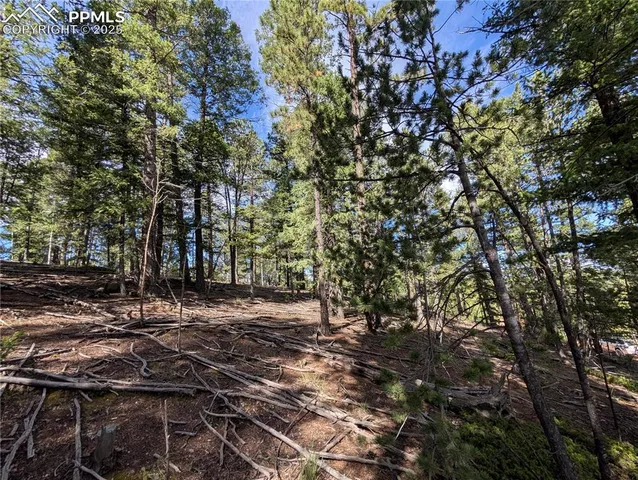 a view of a street with a tree