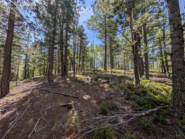 a view of outdoor space with trees