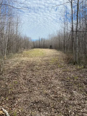 $380,800 | 79 Littlefork Mn 56649, Littlefork, MN 56653