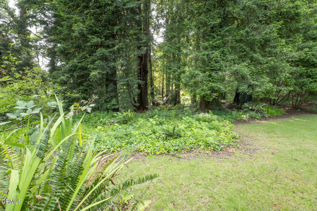 325 Nancy Way Fort Bragg, CA 95437 - Photo 29 of 47 DSC09332