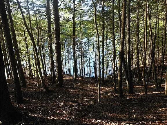 Lot 36-5 Union Falls Road Buxton, ME 04093 - Photo 5 of 14 Water3