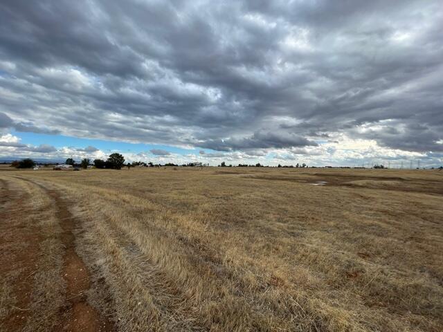 20875 Live Oak Road Red Bluff, CA 96080 - Photo 16 of 19