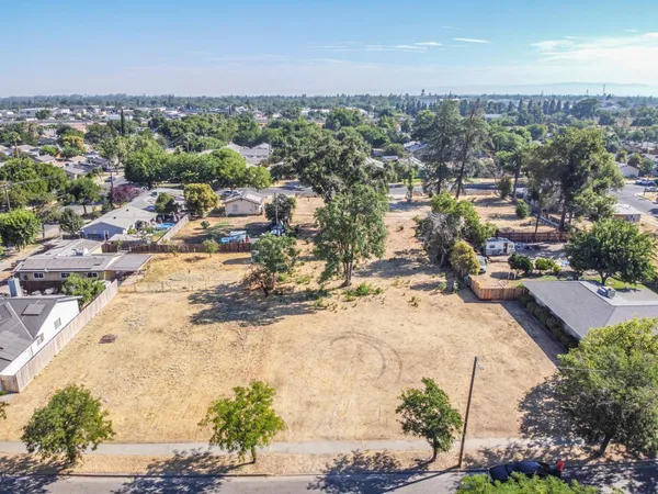 a view of a yard with plants and trees