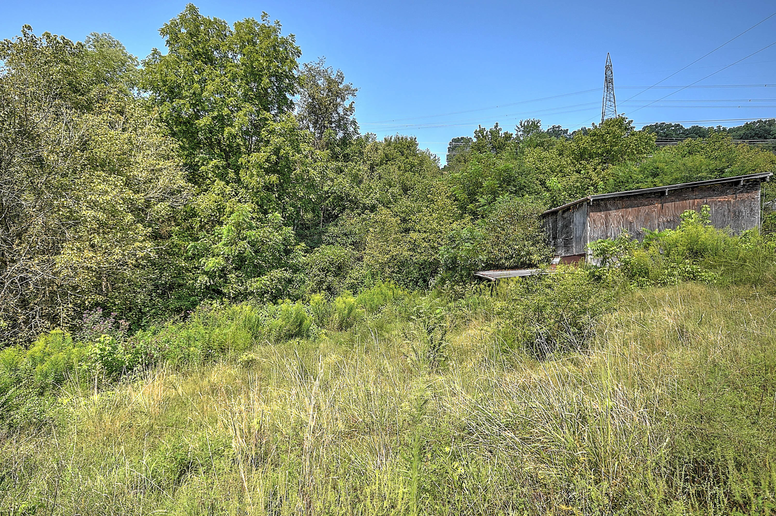 222 Boring Chapel Road Gray, TN 37615 - Photo 18 of 27 Boring Chapel-7