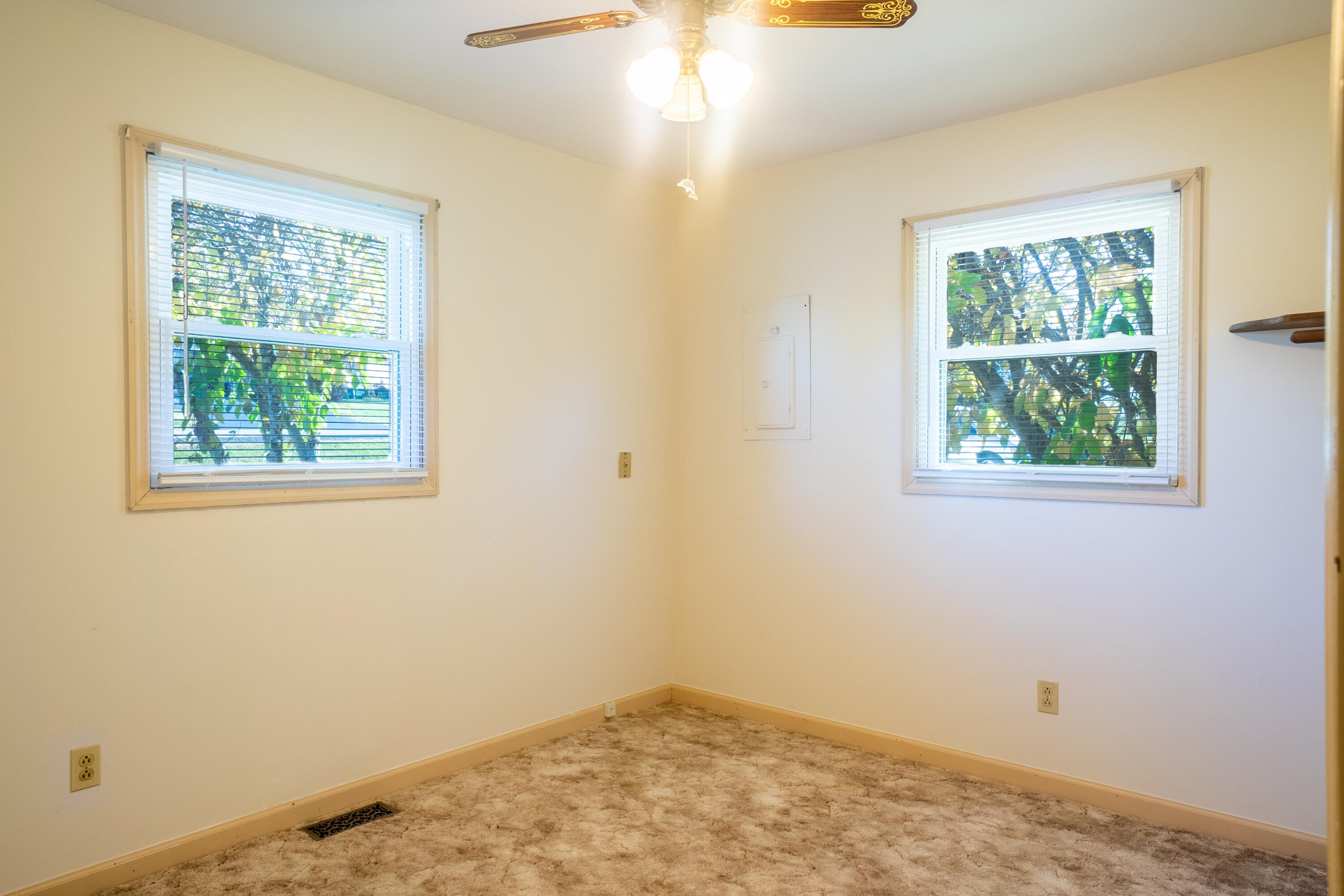 222 Boring Chapel Road Gray, TN 37615 - Photo 10 of 27 bed 1 windows 222bc