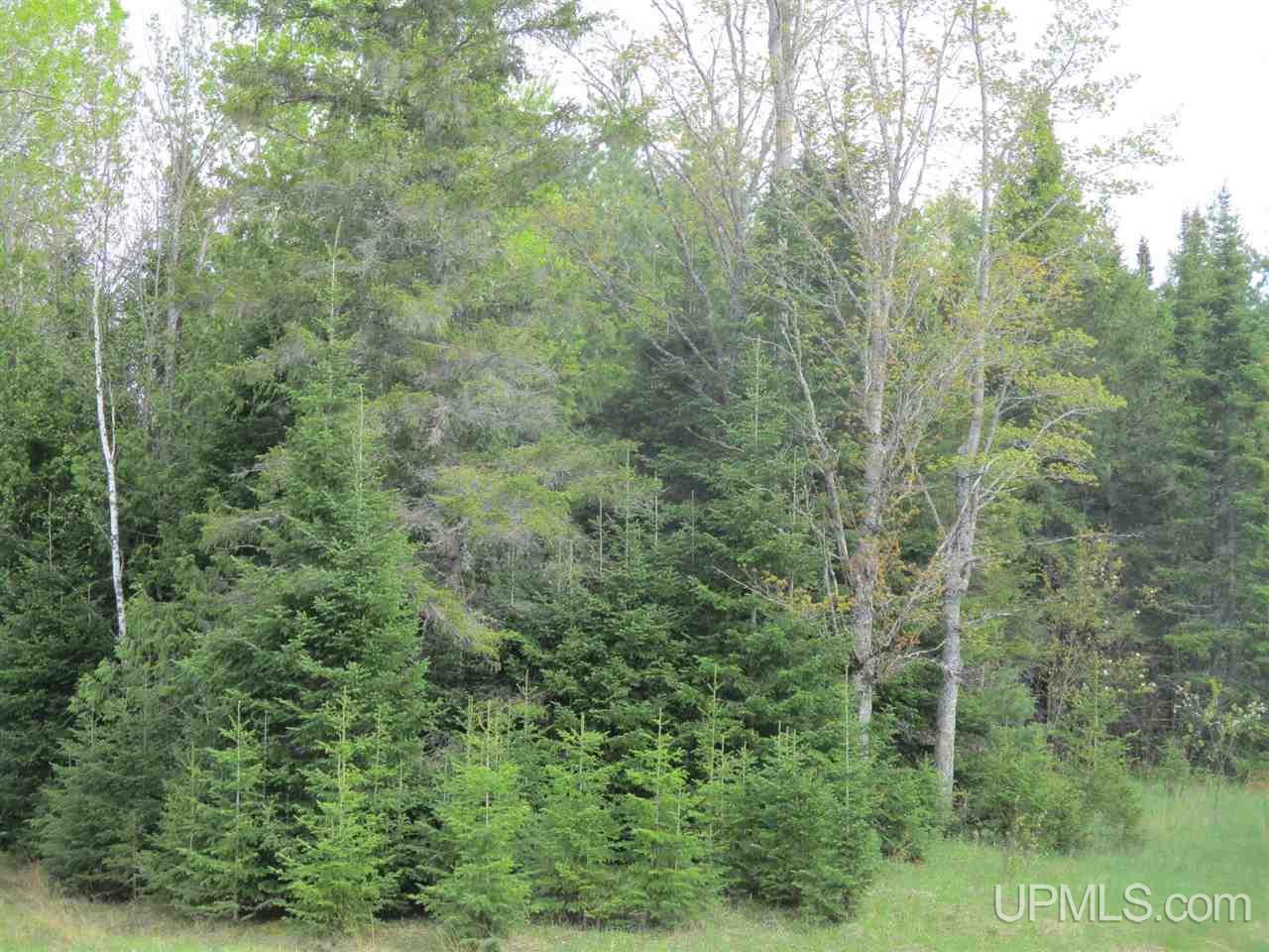 Tbd Tbd Harden Road Mass City, MI 49948 - Photo 3 of 8