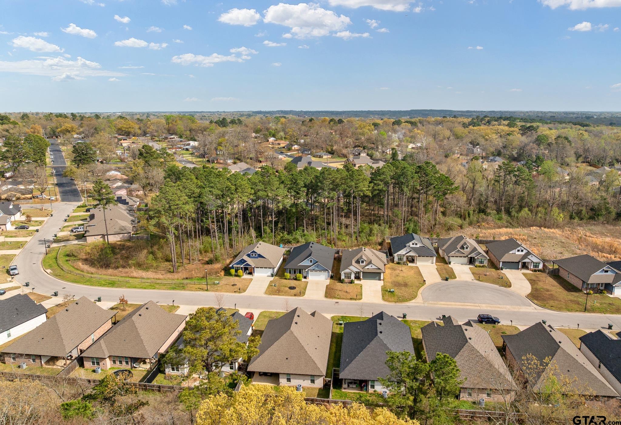 1672 Alamo Xing Road Tyler, TX 75701 - Photo 2 of 38