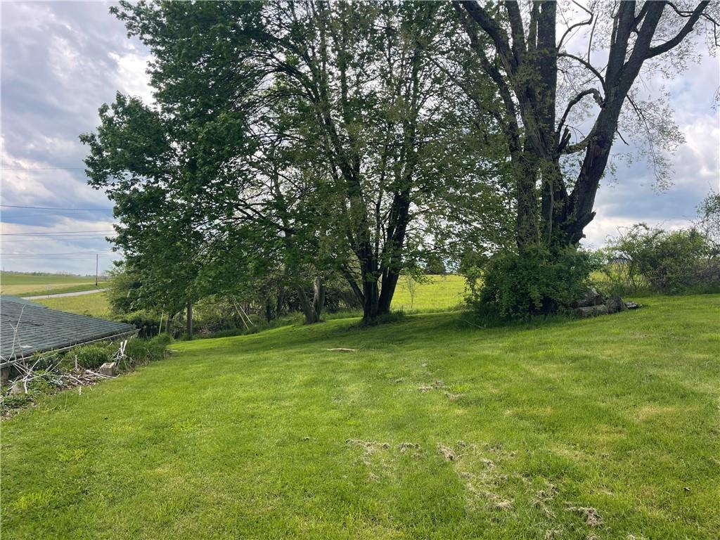 158 Eagle Mill Road Butler, PA 16001 - Photo 3 of 29 a small yard with large trees