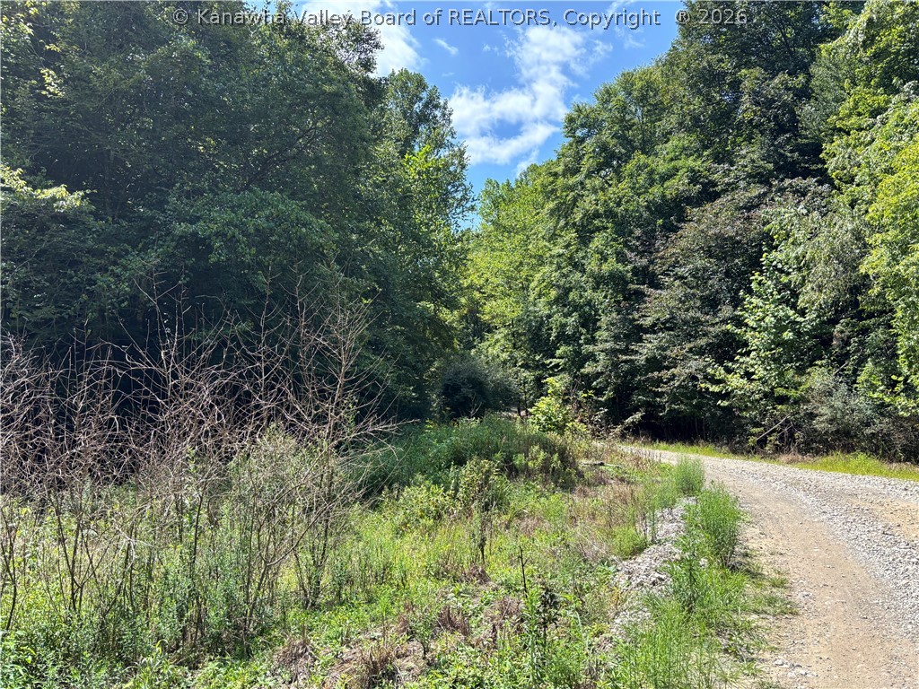 64 Upton Creek Road Spurlockville, WV 25565 - Photo 32 of 37 Gallery Image 32