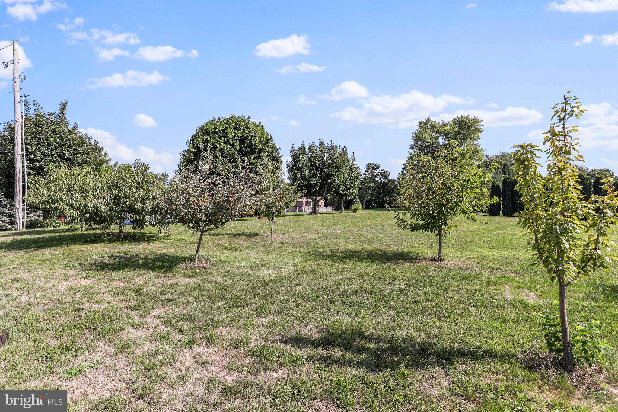 29 Middle Spring Road Shippensburg, PA 17257 - Photo 14 of 47 Gallery Image 14