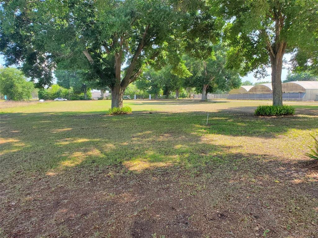 2103 West Kelly Park Road Apopka, FL 32712 - Photo 17 of 24 a view of yard with large trees