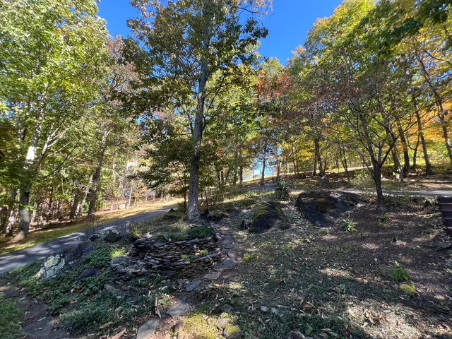 a view of outdoor space with trees