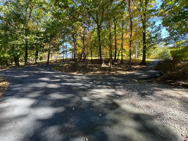 a view of a tree in the middle of a yard