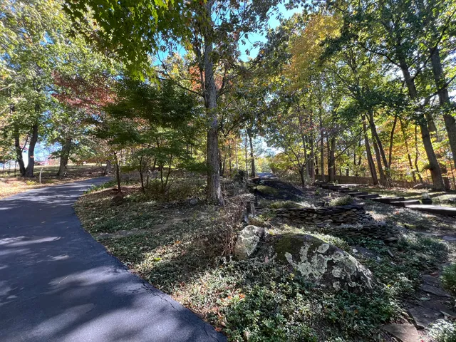a view of backyard with green space