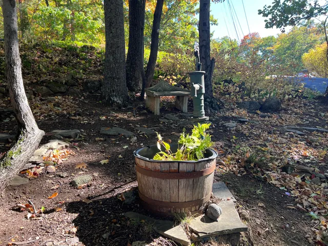 a view of a backyard with plants and outdoor seating