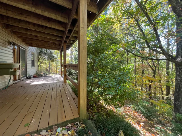 a view of backyard with cabin