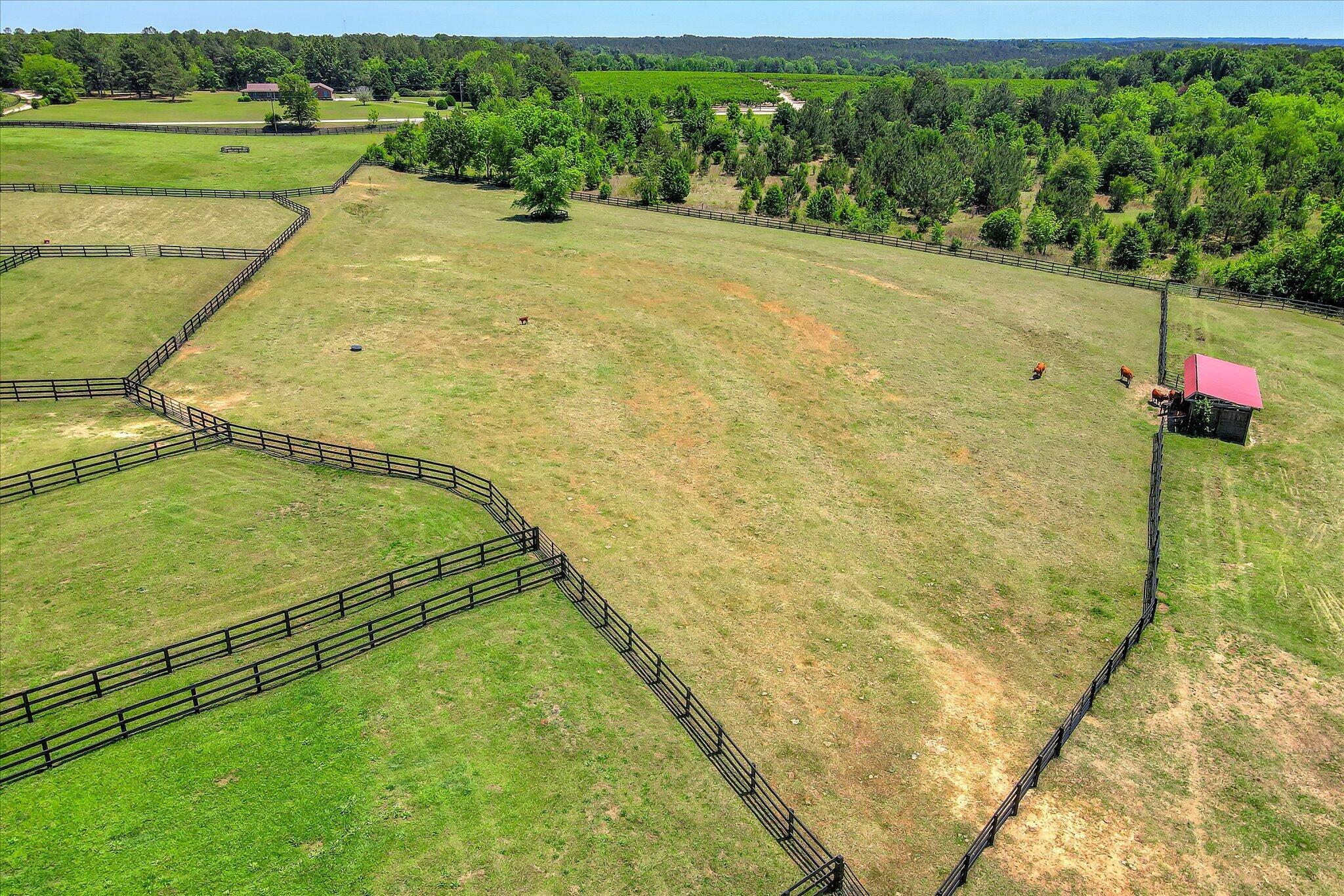 929 Airport Road Johnston, SC 29832 - Photo 13 of 82 025-125
