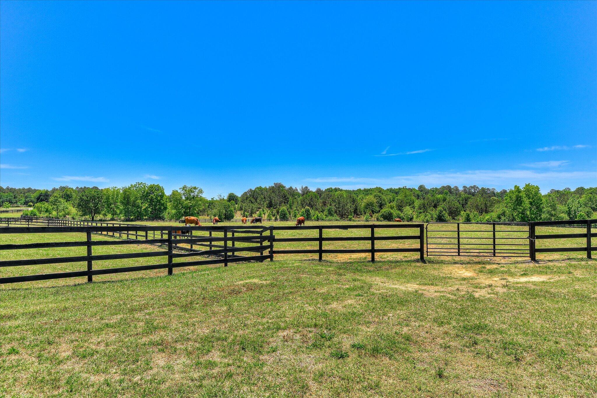 929 Airport Road Johnston, SC 29832 - Photo 75 of 82 098-198
