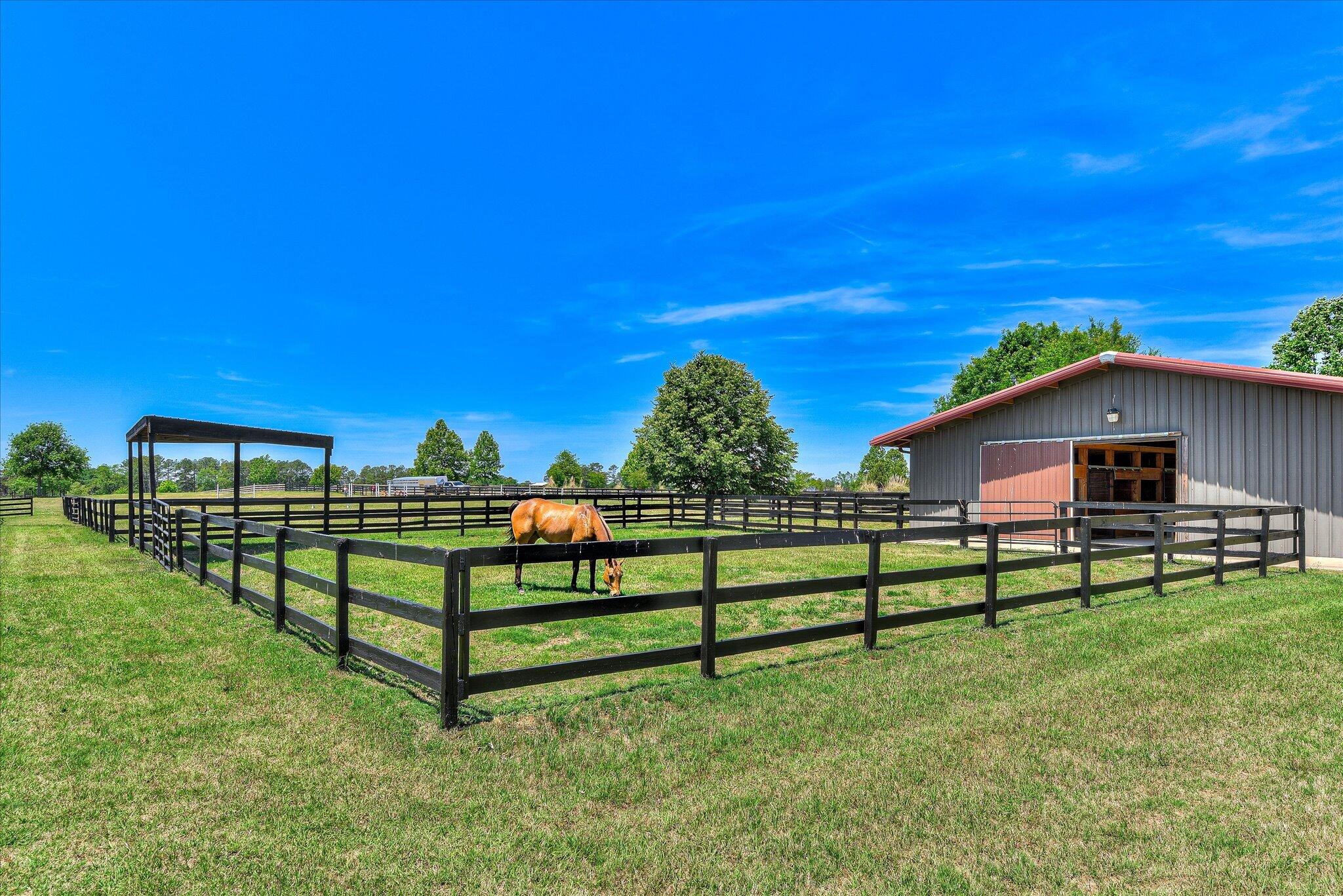 929 Airport Road Johnston, SC 29832 - Photo 80 of 82 103-203