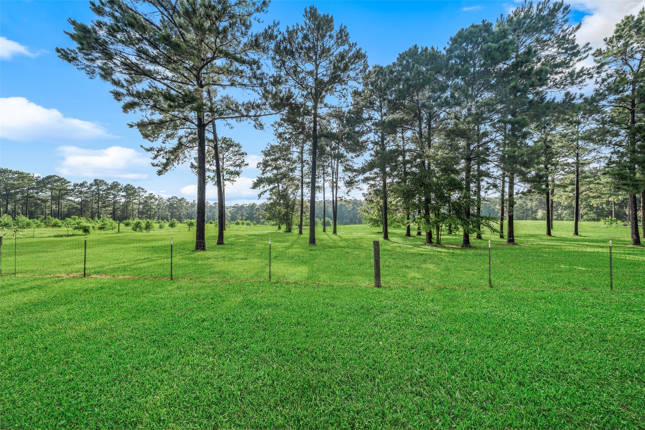 5345 Deep Forest Trail Navasota, TX 77868 - Photo 30 of 46