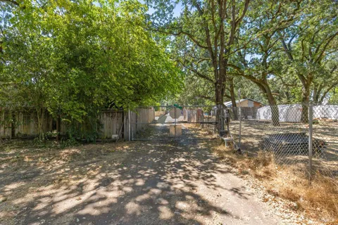 a view of a yard with large trees