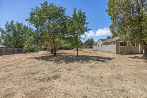a view of a house with backyard and tree