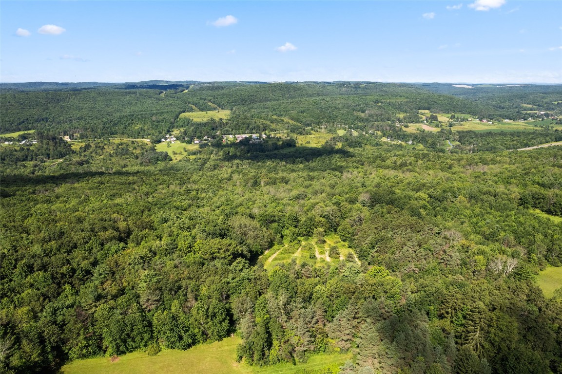 473 Brotzman Road Binghamton, NY 13901 - Photo 35 of 36 Gallery Image 35