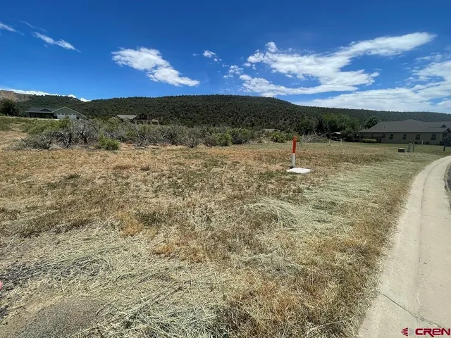 a view of a yard with swimming pool and green space