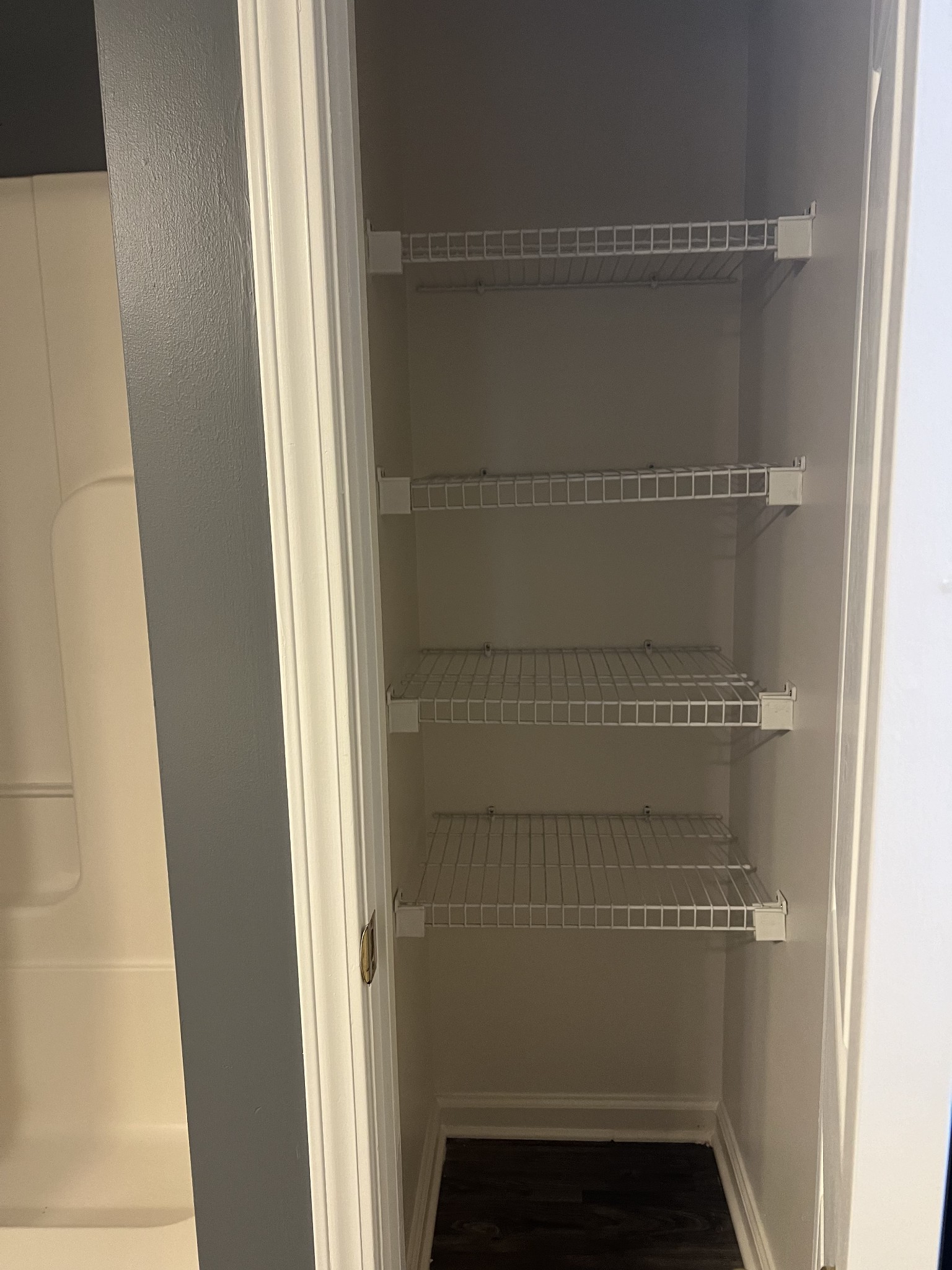 4266 Birmingham Road Lebanon, TN 37090 - Photo 17 of 24 a view of walk in closet