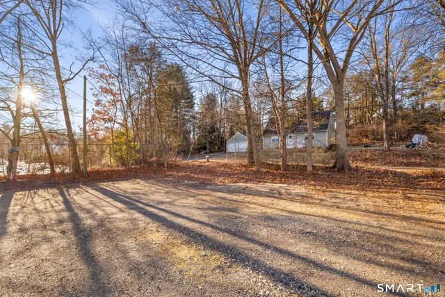 a view of yard and trees