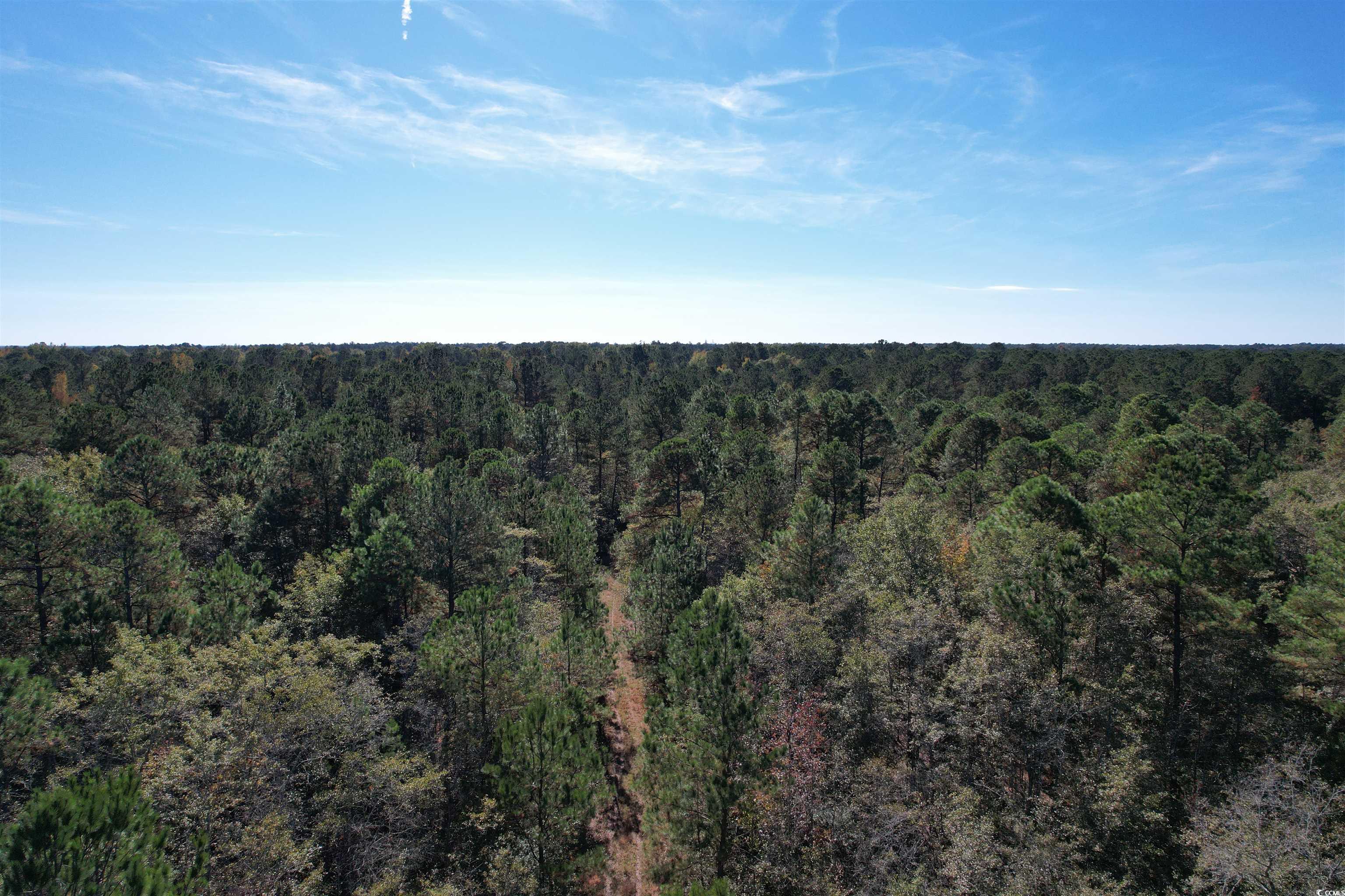 0 Mackey Road Greeleyville, SC 29056 - Photo 10 of 18 Gallery Image 10