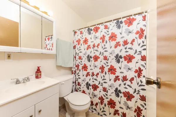 a bathroom with a sink toilet and a shower
