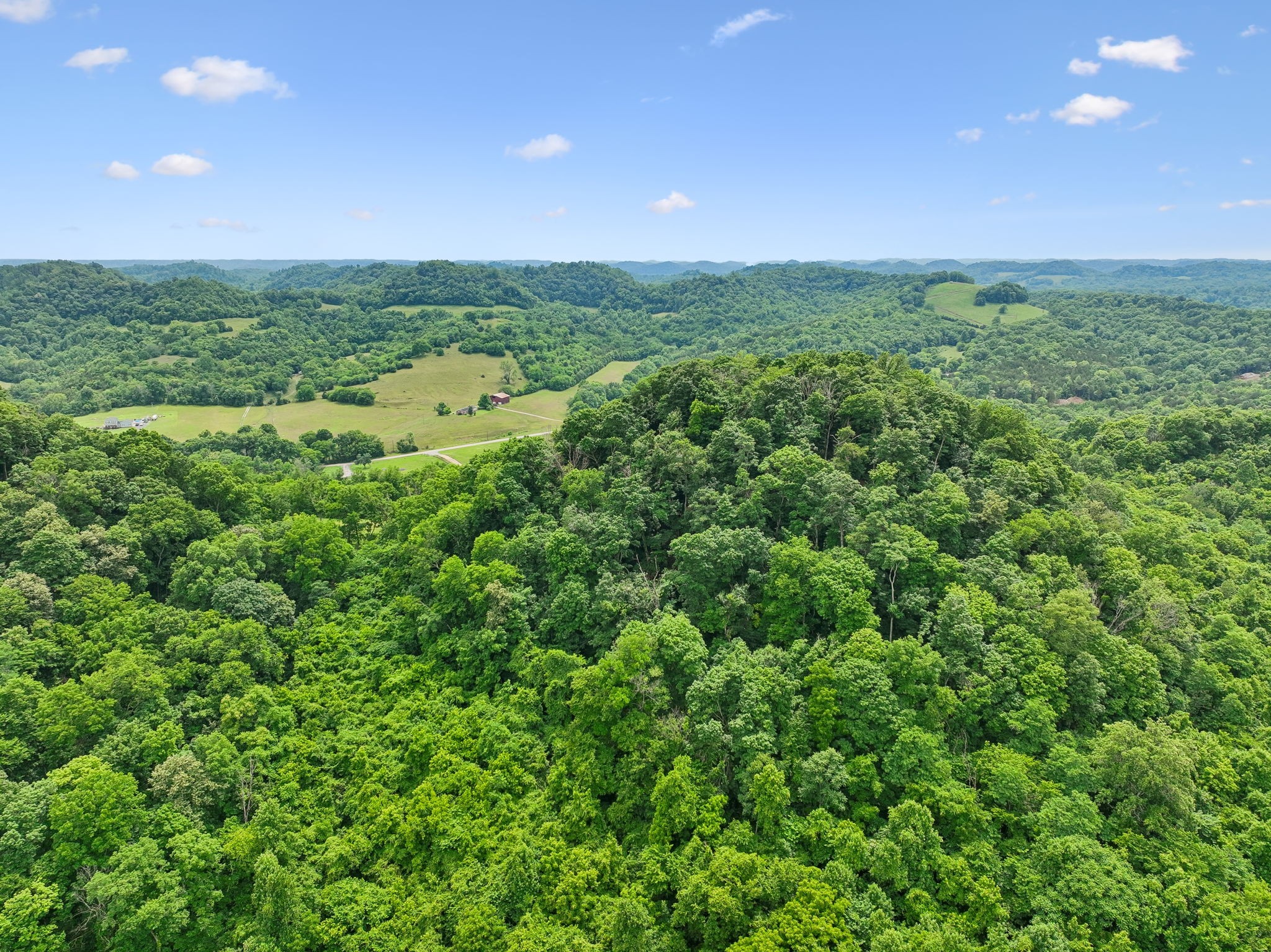 0 Little Salt Lick Creek Road Carthage, TN 37030 - Photo 10 of 17