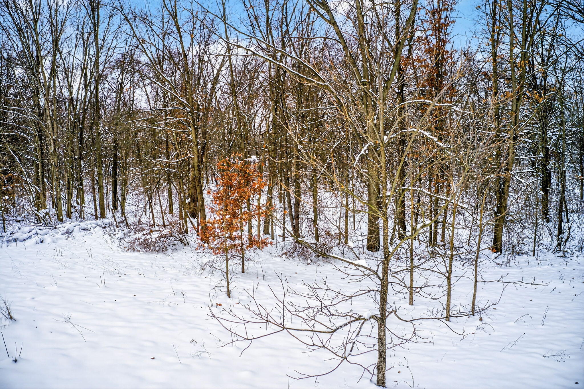 1 Garver Lake Road Edwardsburg, MI 49112 - Photo 24 of 32 Garver Lake Rd-24