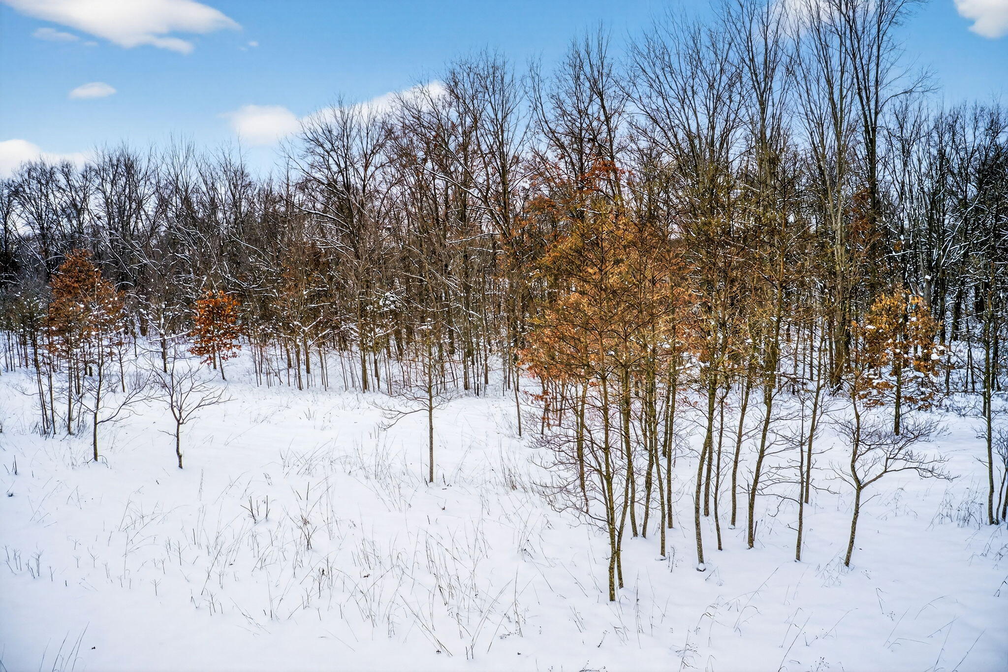 1 Garver Lake Road Edwardsburg, MI 49112 - Photo 29 of 32 Garver Lake Rd-29