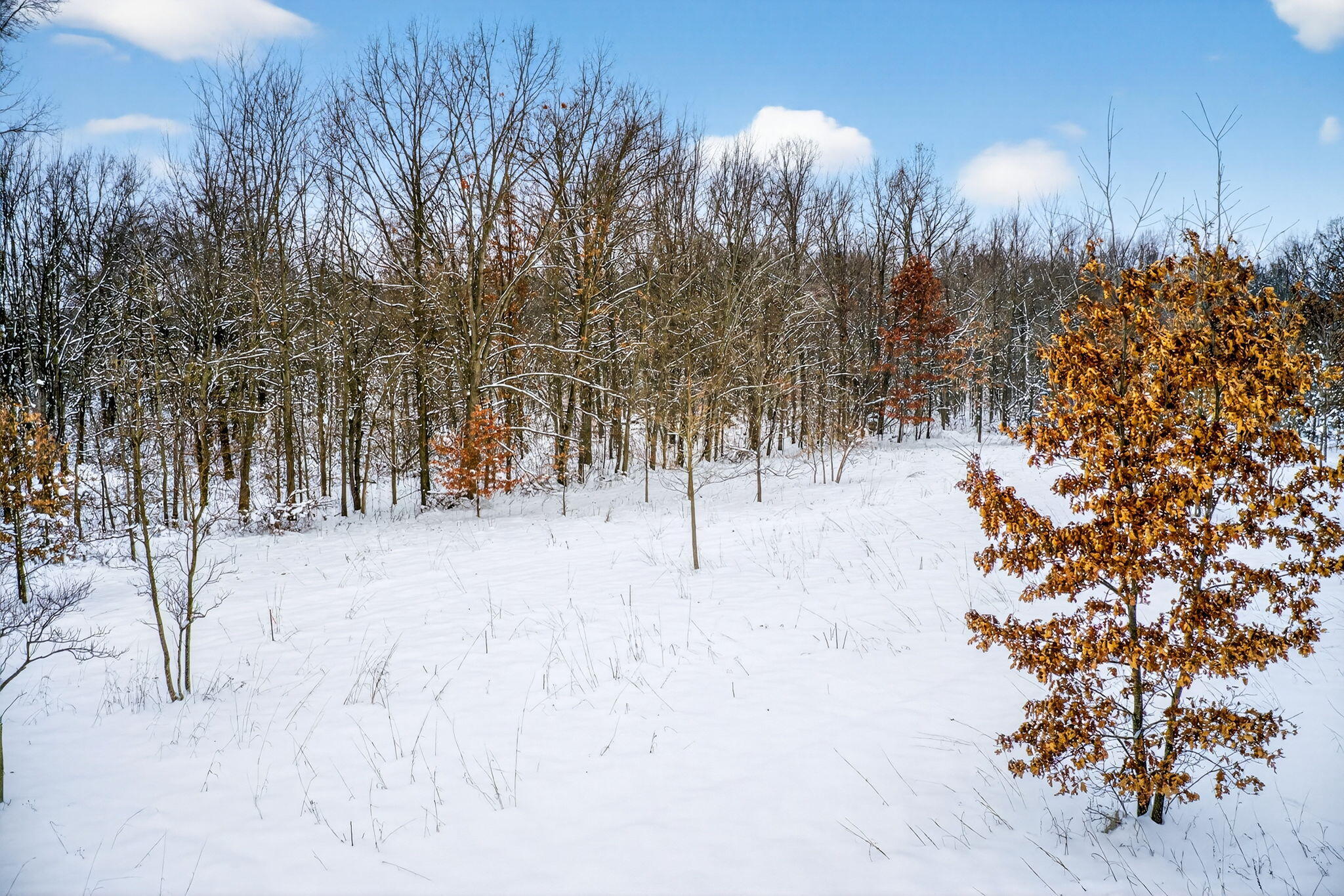 1 Garver Lake Road Edwardsburg, MI 49112 - Photo 30 of 32 Garver Lake Rd-30