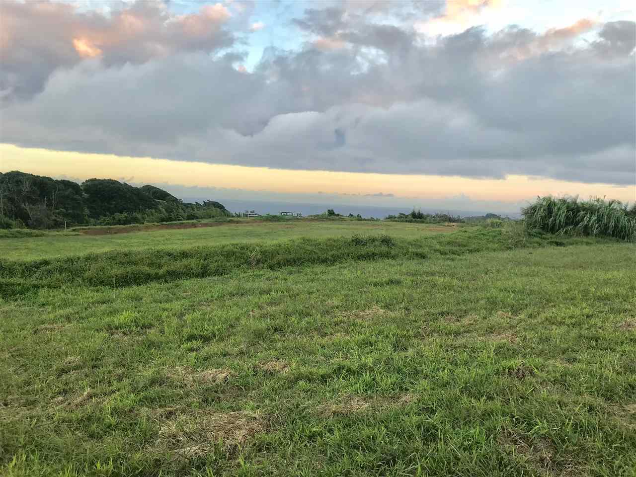 397 Burns Road, Unit A Haiku, HI 96708 - Photo 1 of 2 a view of an outdoor space and a yard