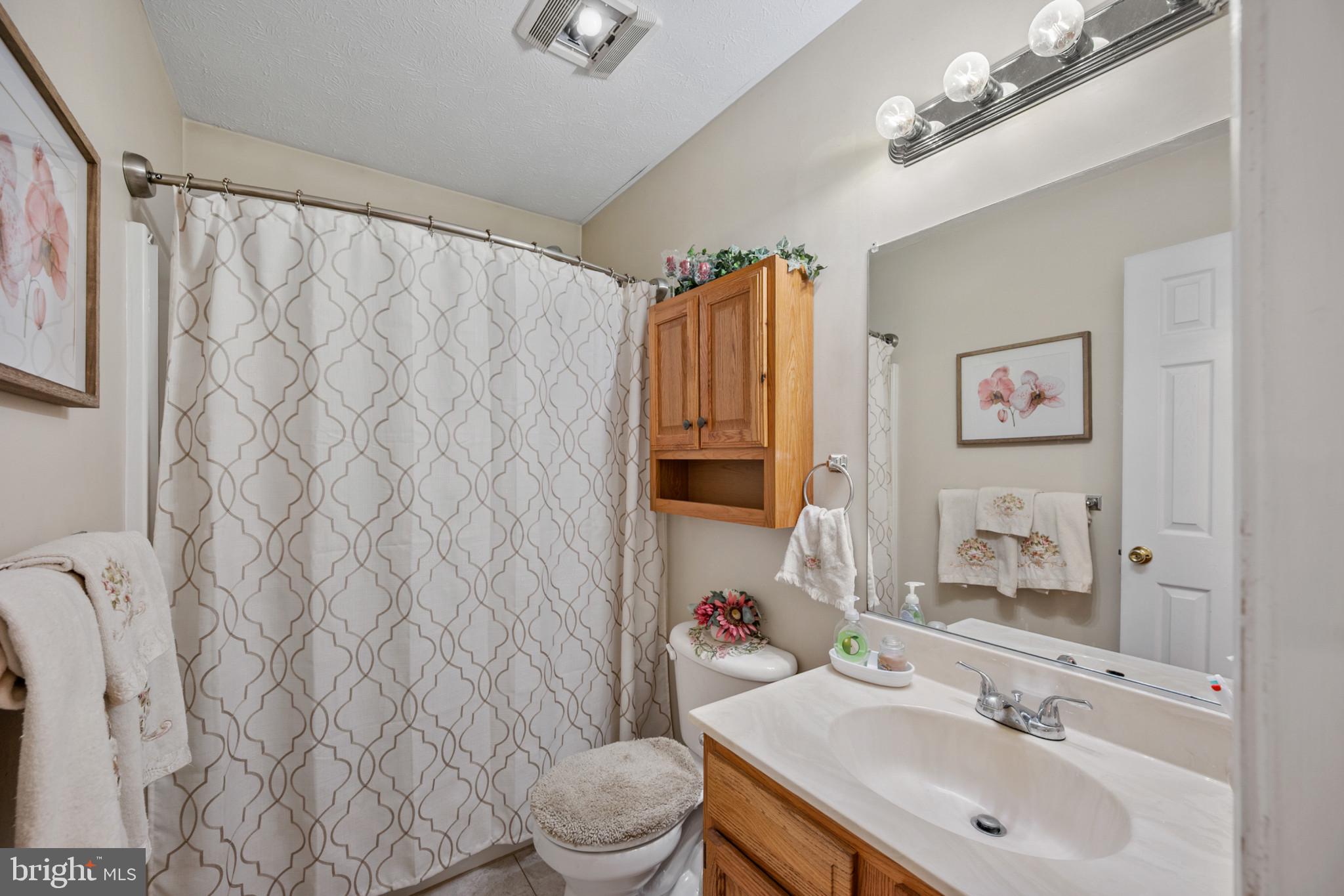 407 Freeze Road Linden, VA 22642 - Photo 15 of 28 Charming bathroom with warm accents.