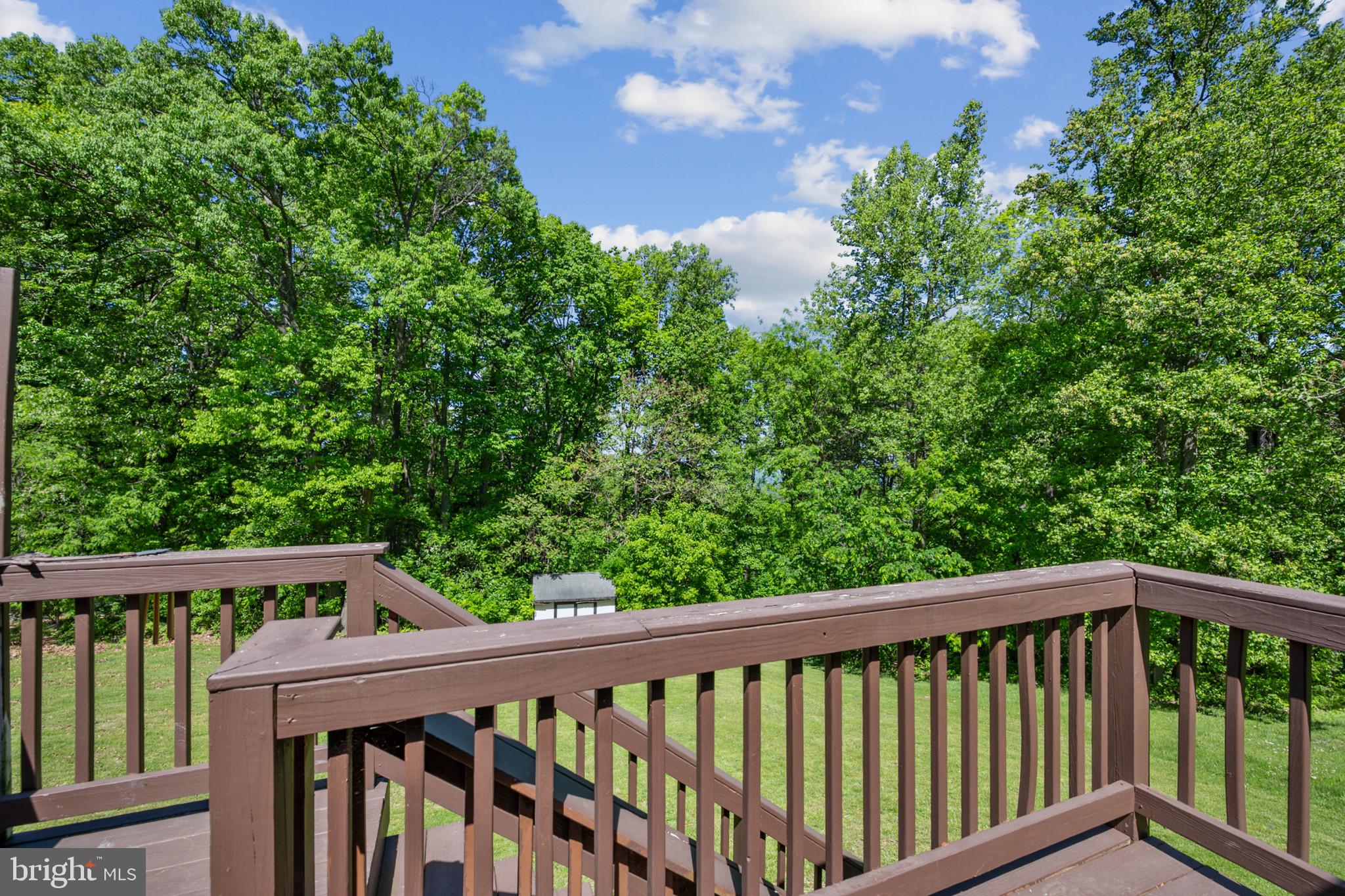 407 Freeze Road Linden, VA 22642 - Photo 22 of 28 Serene deck with lush green views.