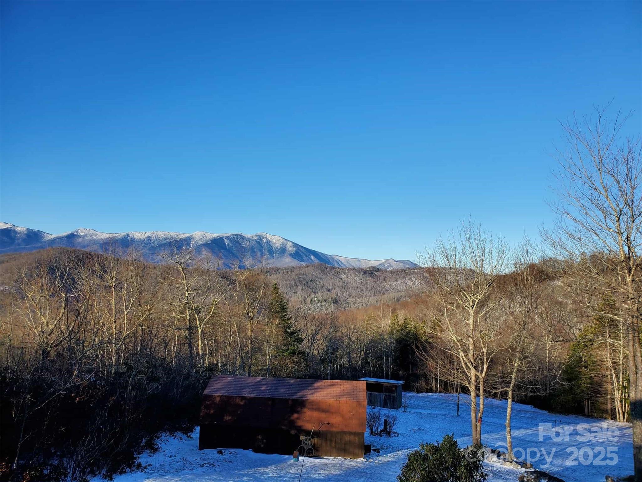 951 Pine Tree Road Spruce Pine, NC 28777 - Photo 4 of 48