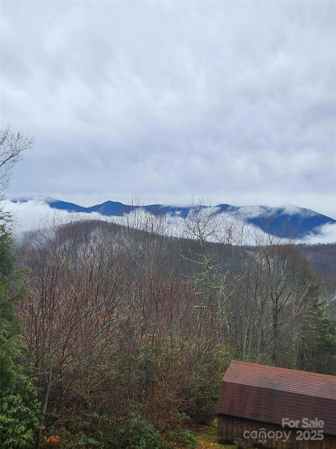 951 Pine Tree Road Spruce Pine, NC 28777 - Photo 48 of 48