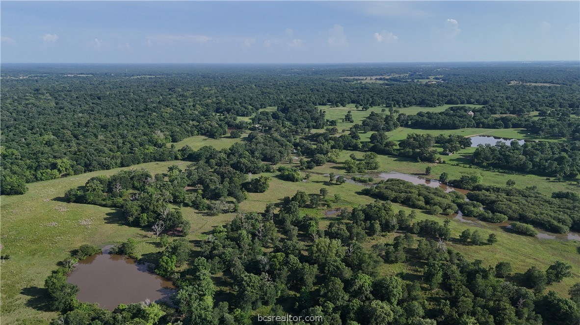 Tbd Tbd Wilson Pasture Road Bryan, TX 77808 - Photo 25 of 29 an aerial view of residential house with outdoor space and trees