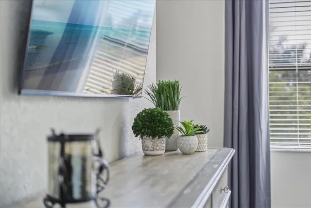 an aerial view of a house with swimming pool and large trees