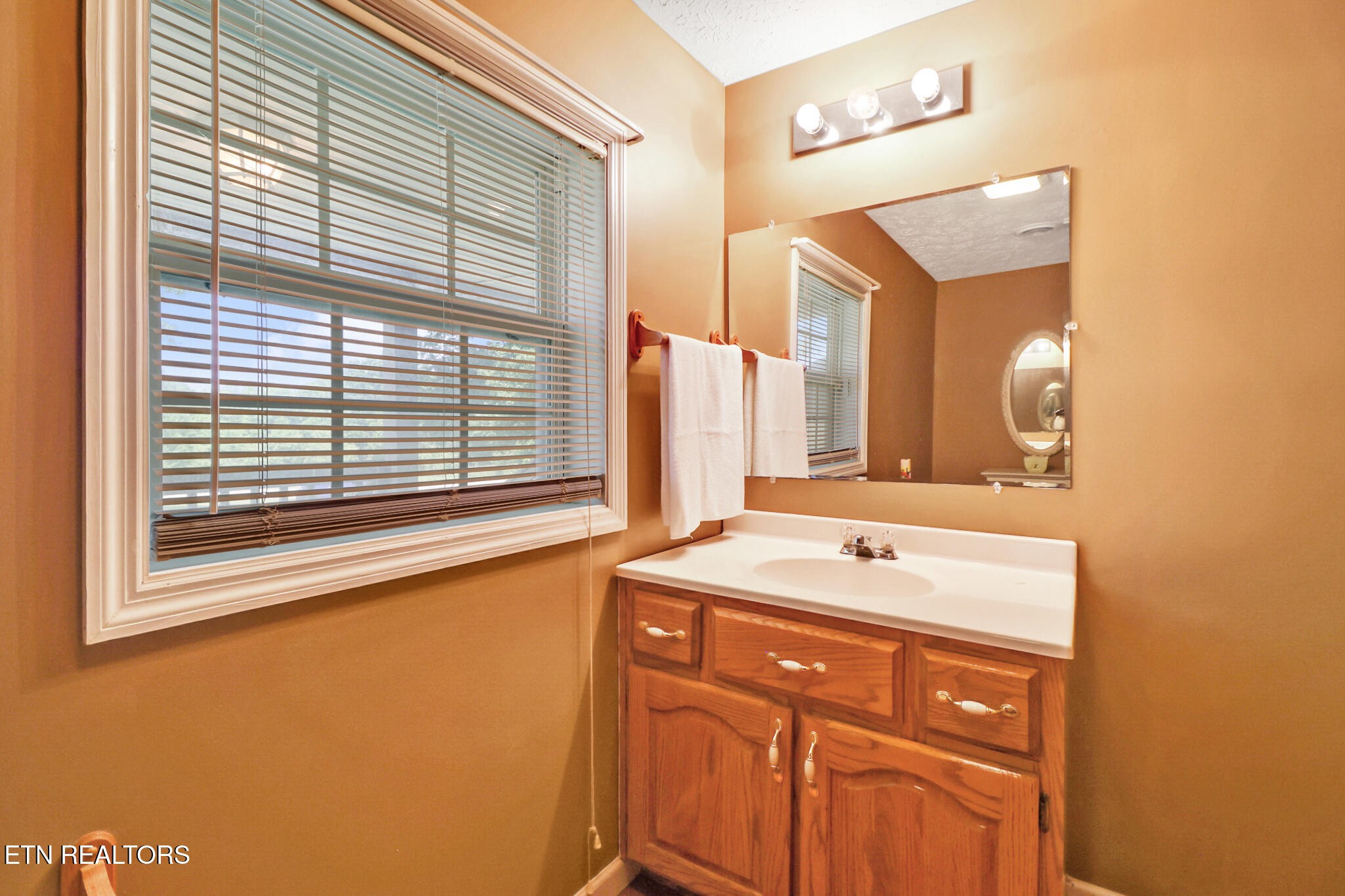 1729 Roslin Road Jamestown, TN 38556 - Photo 35 of 49 a bathroom with a sink and a mirror