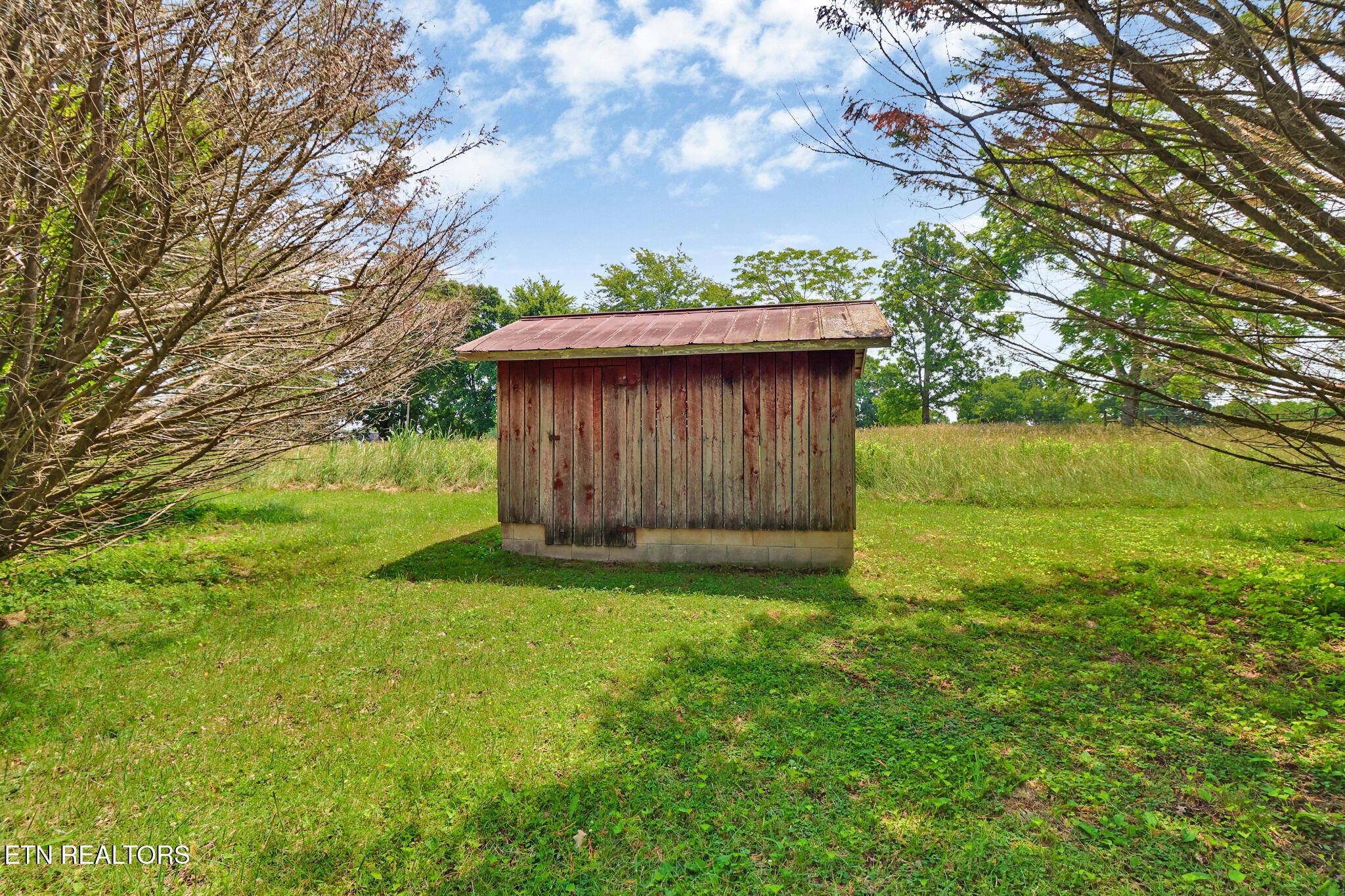 1729 Roslin Road Jamestown, TN 38556 - Photo 4 of 49 a backyard of a house with lots of green space