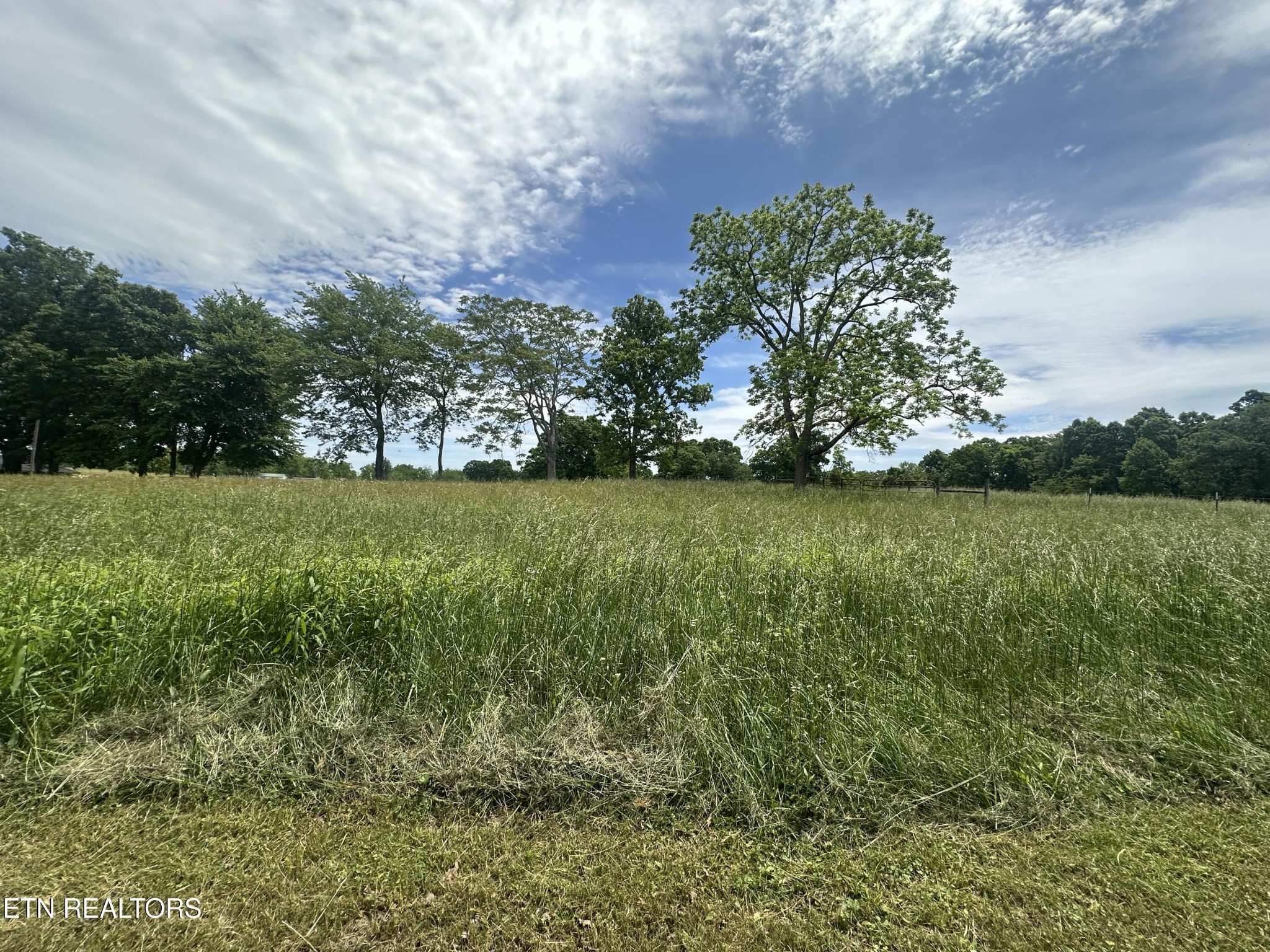 1729 Roslin Road Jamestown, TN 38556 - Photo 7 of 49 a view of a green yard