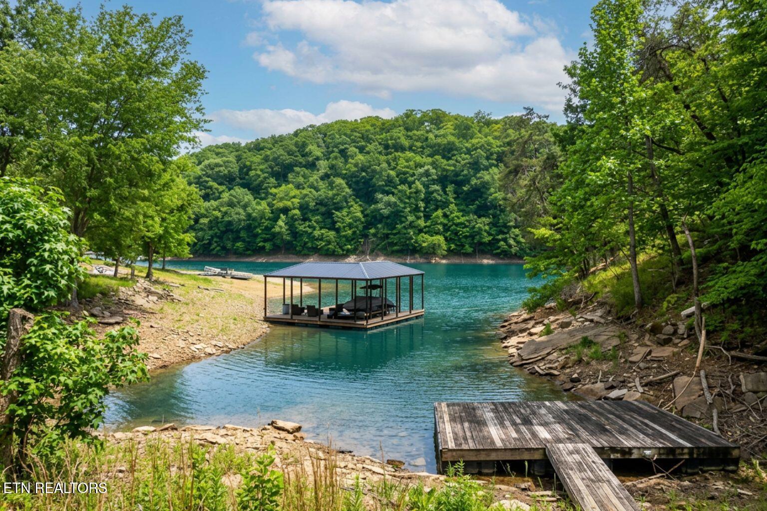 Black Fox Harbor Road Washburn, TN 37888 - Photo 19 of 25 Swimming Platform