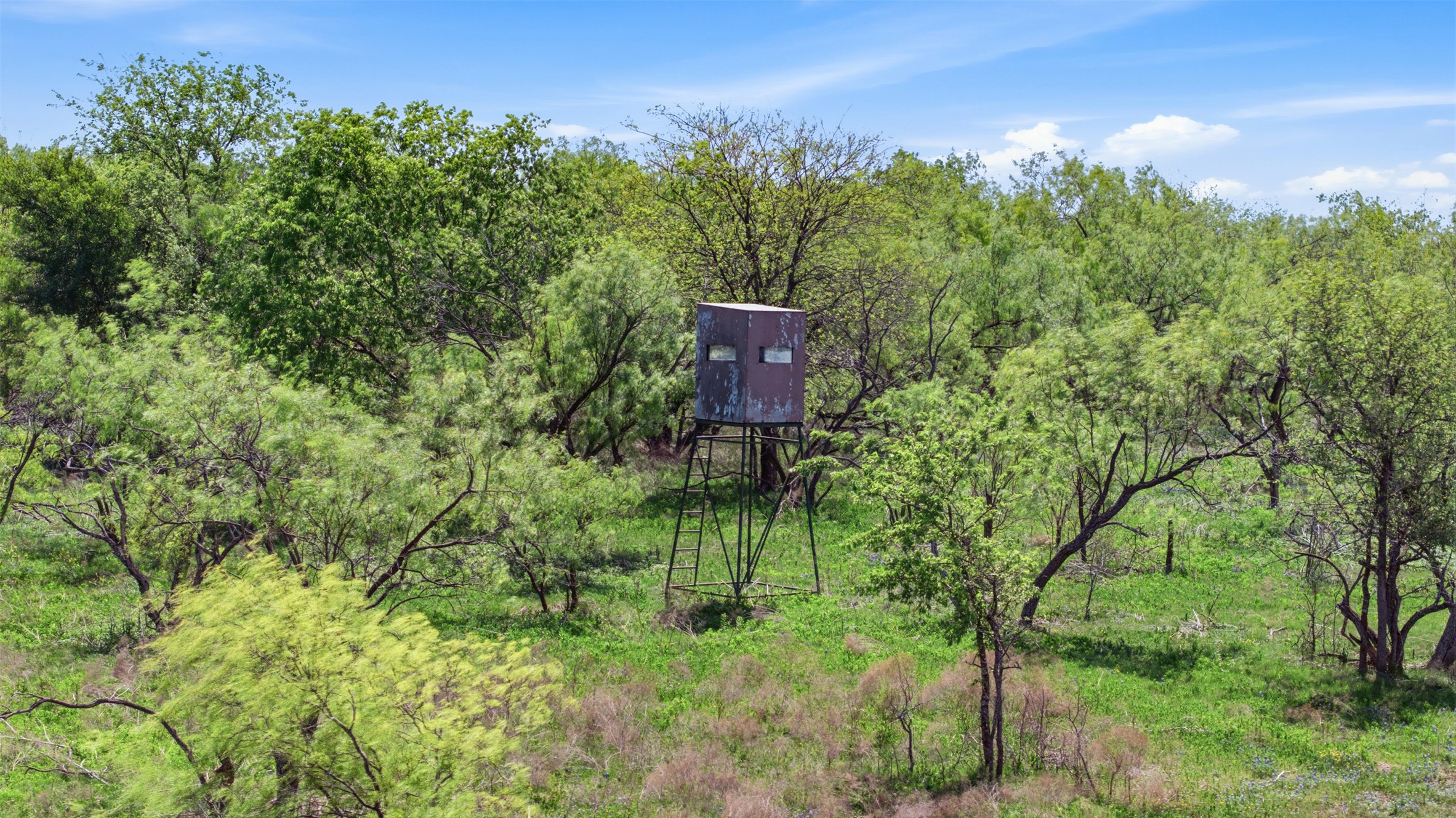 Mature trees surround a metal hunting blind on this expansive, wooded acreage.